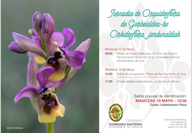Orquideoflora.jpg