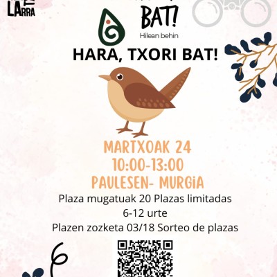 Natura eta kulturarekin bat-Txori bat.jpg